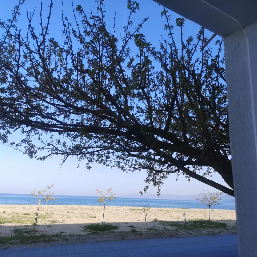 Greece Asprovalta Rooms Accomodation Apartment Hotel Petalo Exterior foto
