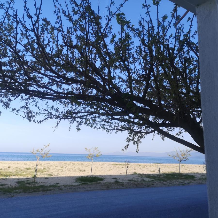 Greece Asprovalta Rooms Accomodation Apartment Hotel Petalo Exterior foto