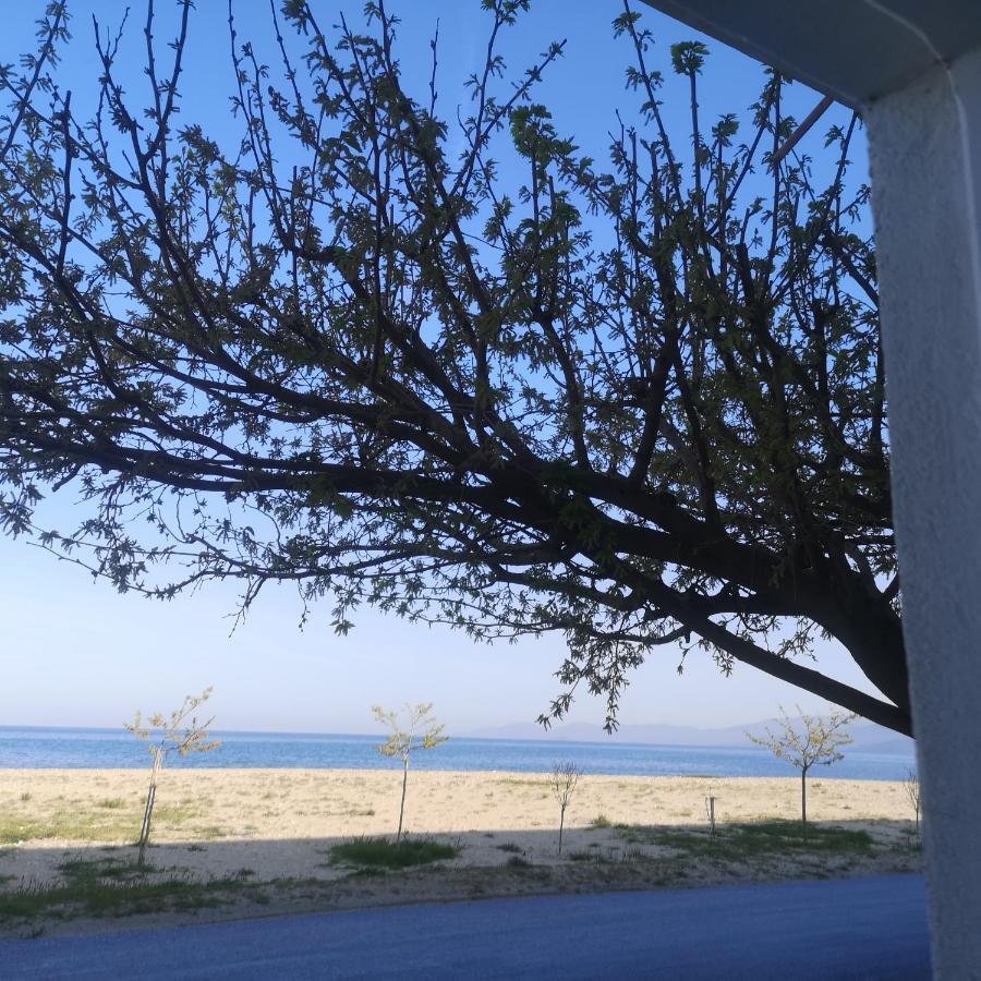 Greece Asprovalta Rooms Accomodation Apartment Hotel Petalo Exterior foto